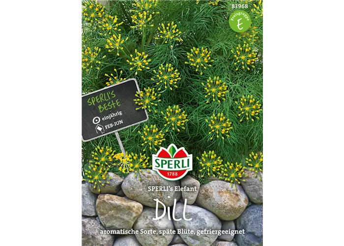Dill Samen SPERLI Dill Samen SPERLI